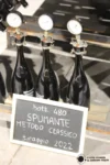 Vinos de Cerdeña Vinos de la Bodega QuartuMoru en Marrubiu